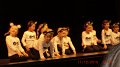CIMG0729