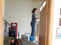 IMG 7365